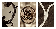 Wall_Art_Alphabet_Photography_Art_ 1133